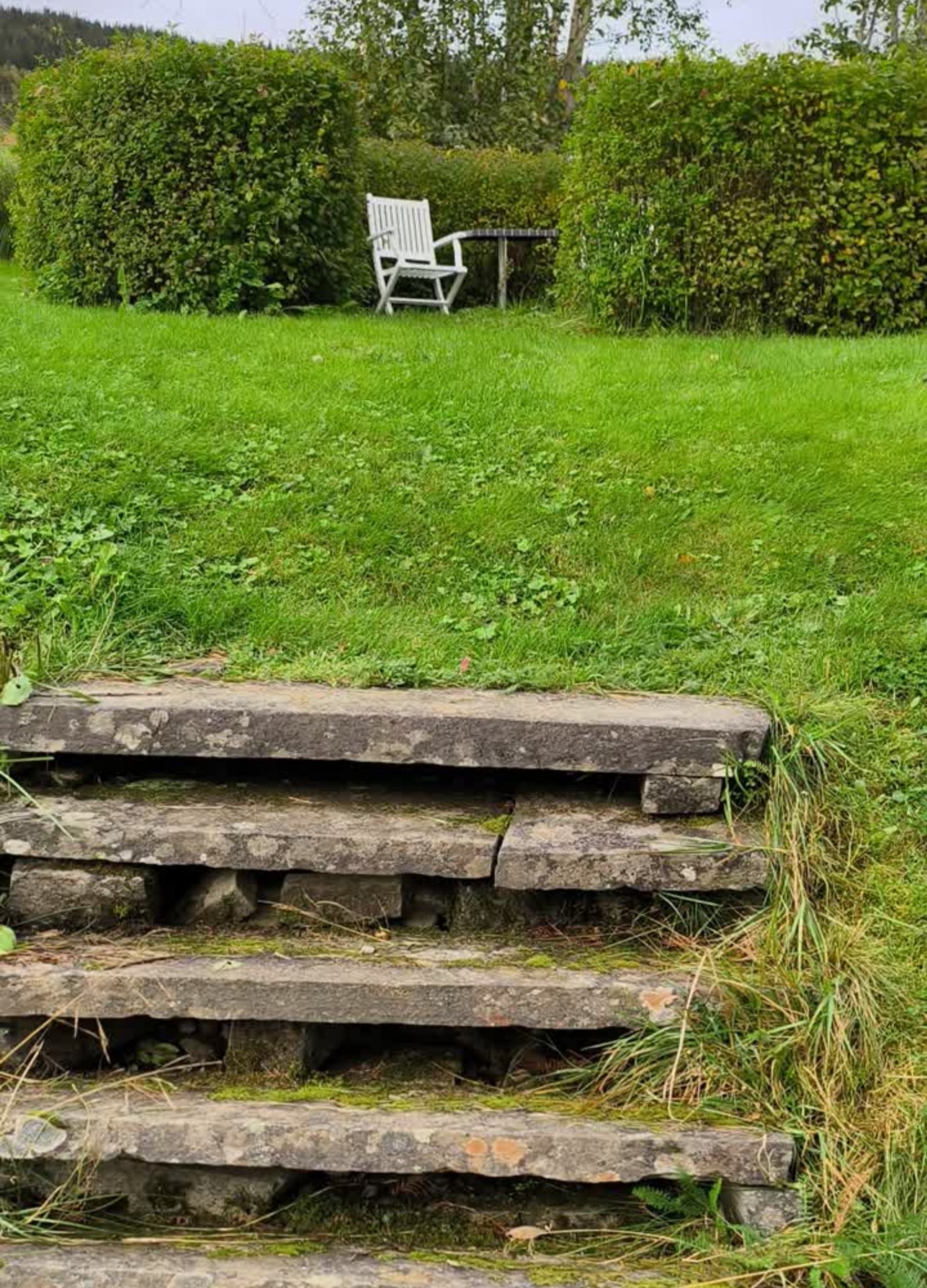 Steintrapp opp til en sitteplass mellom hekkene i pensjonatets hage